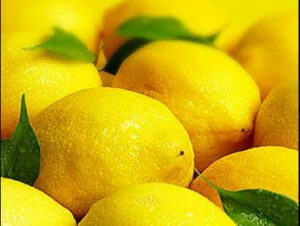 citrom2