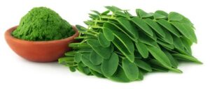 moringa level
